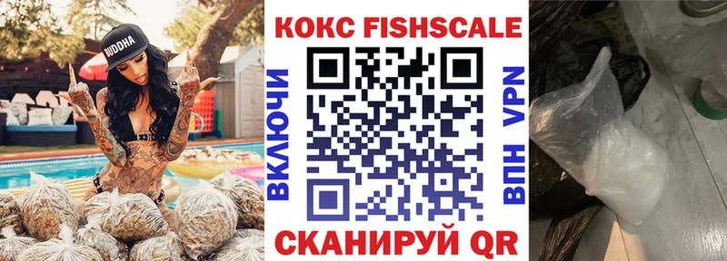 КОКАИН Fish Scale  Королёв 