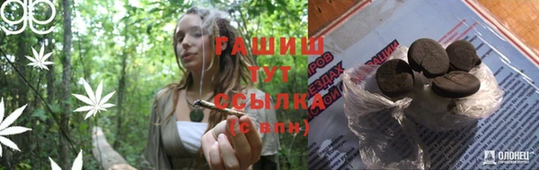эйфоретик Алзамай